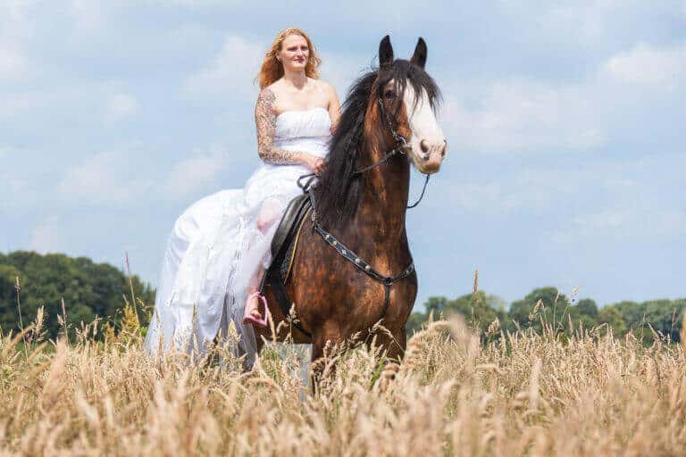 Braut im weißen Kleid steht mit einem dunklen Pferd in einem Kornfeld