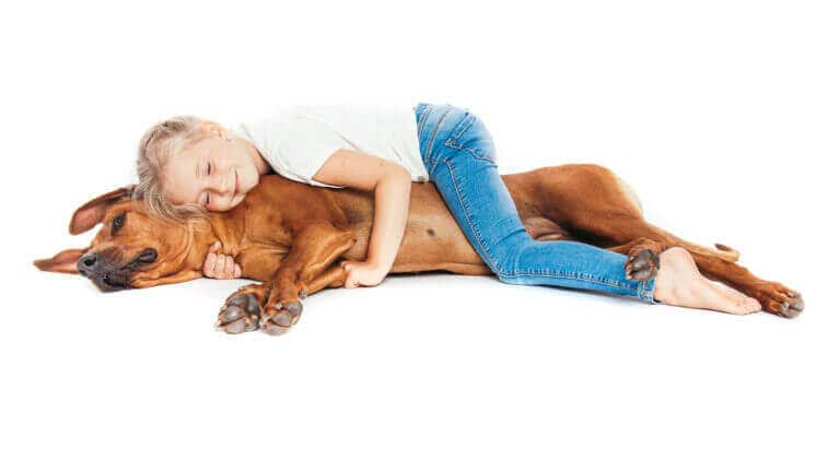 Schlafendes Kind liegt im Fotostudio auf einem Rhodesian Ridgeback