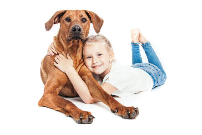 Mädchen liegt im Fotostudio neben einem Rhodesian Ridgeback und umarmt ihn