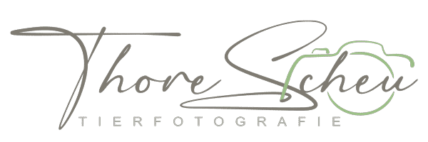 Tierfotografie Logo mit Kamerasymbol