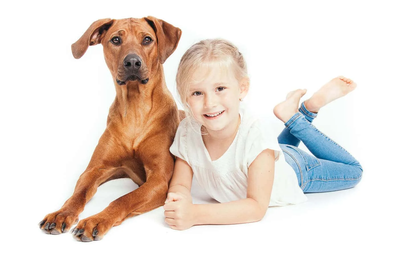 Hund mit Kind im Fotostudio