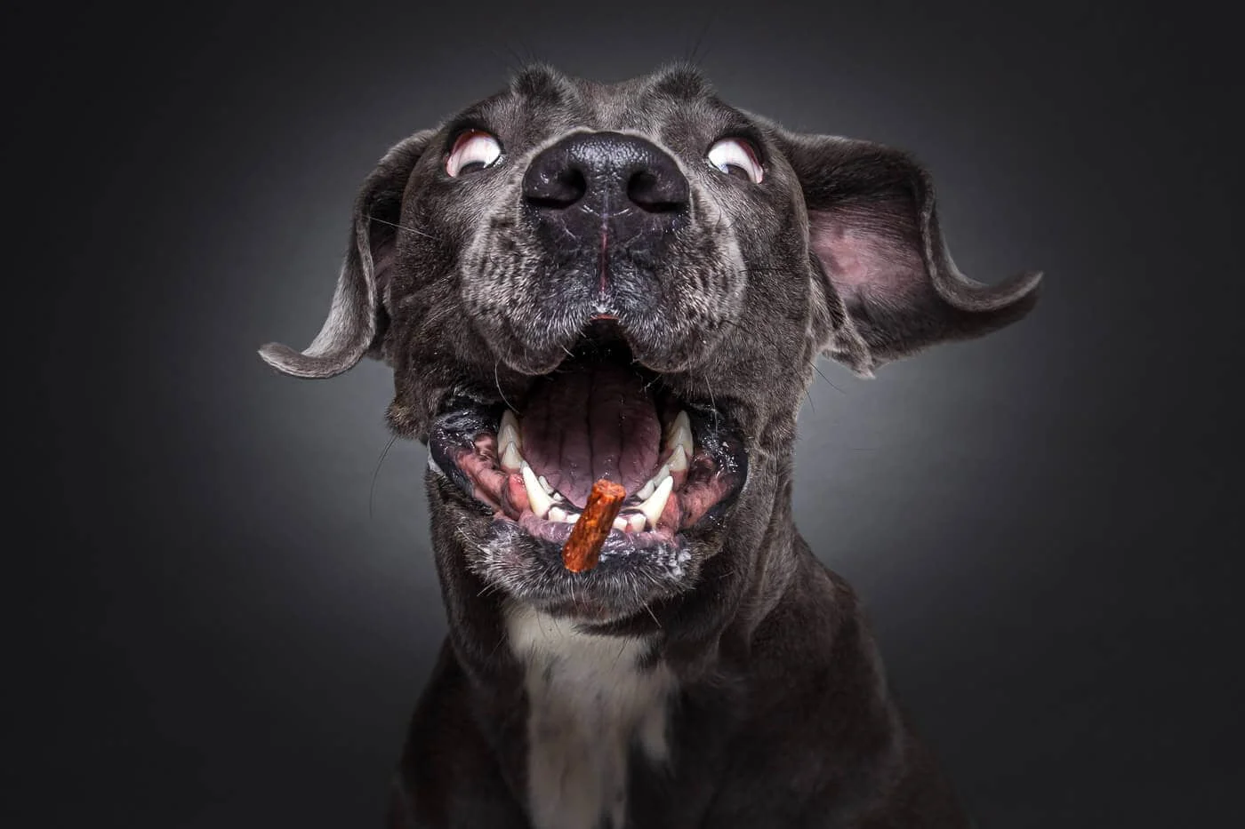 Fotograf Thore Scheu Tierfotograf_Thore_Scheu_THS_3950