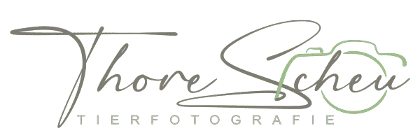 Tierfotograf Thore Scheu | Ostfriesland & Oldenburg.